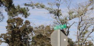 मेघालय के पश्चिम गारो हिल्स में 16 मार्च तक बढ़ाया गया कर… मेघालय