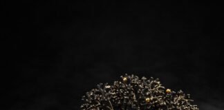 Gold-Silver Crash: सोना-चांदी में हाहाकार! 27000 तक टूटा … Gold