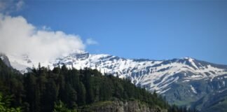 अंबाजी की दो दिवसीय यात्रा 23 मई से होगी शुरू – Dainik Bh… अंबाजी