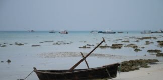 Andaman Viral Video: कचरे के ढेर से पटा स्वर्ग जैसा द्वीप… Andaman