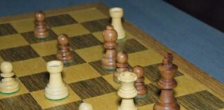 'मेरे लिए एक जीत काफी नहीं…': सोनम वांगचुक ने… 'मेरे