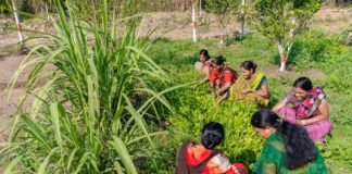 Nagpur News: राज्यस्तरीय बैठक में कुपोषण, विकास व प्रारंभ… Nagpur