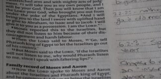 गोपेश्वर में '4 साल बेमिसाल' कार्यक्रम: राज्य स… गोपेश्वर