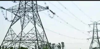 NTPC working to reach 244-GW capacity by 2037 | India News