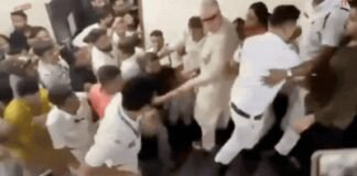 Watch: Derek O’Brien falls down staircase amid clash at TMC office | India News