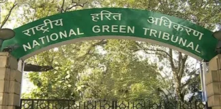 'पर्यावरण की रक्षा के लिए बढ़ाएं सक्रियता', संसदीय समिति की NGT को सलाह