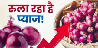 हर साल क्यों रुलाता है प्याज, कीमतों में आग लगने की क्या है असली वजह? पूरी रिपोर्ट