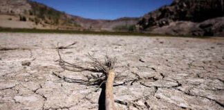 COP17: New global architecture for drought resilience launched at UNCCD meet | India News