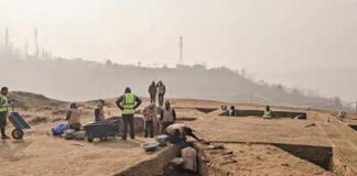 Second excavation phase at Kashmir Buddhist starts today | India News