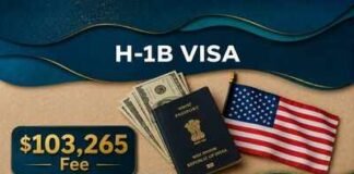 ‘Gut punch’: What Trump’s new $103,265 H-1B visa fee proposal means for Indian aspirants