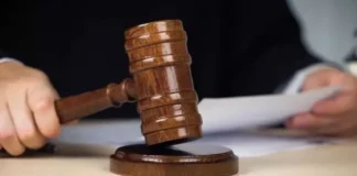 'सार्वजनिक अवकाश से नहीं रुकेंगे लाभ', सहायक अध्यापकों की वेतनवृद्धि पर इलाहाबाद हाई कोर्ट का अहम फैसला
