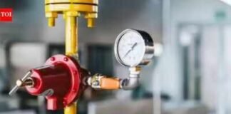Only 20% LPG consumers applied for PNG connections | India News