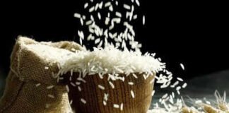 India Rice Exports: Why India’s rice exports to Iran may survive Donald Trump’s sanctions threat