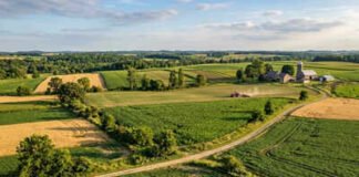 22 million hectares of degraded land restored during 2011 and 2020 | India News