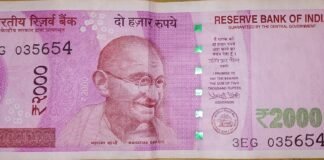 पीएफ निकासी ऑनलाइन कैसे करें? जानिए पूरी प्रक्रिया और नियम पीएफ निकासी