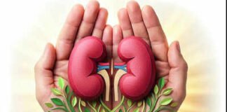 Over 61,000 wait for kidney transplants | India News