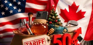 Honey to hockey sticks: Trump’s 50% tariff net catches 550+ Canadian goods