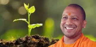यूपी में मनेगा ईको-फ्रेंडली रक्षाबंधन: भाई-बहन साथ लगाएंगे पेड़, पौधों को राखी बांधकर लेंगे सुरक्षा का संकल्प