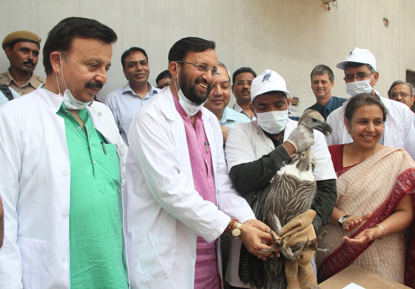 गिद्ध संरक्षण