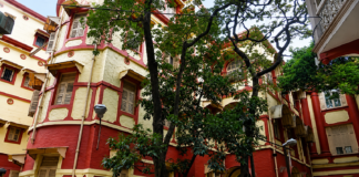 जामनगर के ITRA ने मनाया छठा स्थापना दिवस, आयुर्वेद में AI के इस्तेमाल पर जोर ITRA दिवस