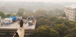 IIT दिल्ली में ETD-2026 के दौरान भाषिणी एआई ने पेश किए बहुभाषी समाधान भाषिणी एआई